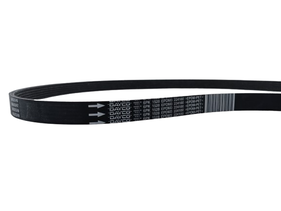 Maserati Quattroporte Belt Type Dayco Pv-k A 6 OEM 224100