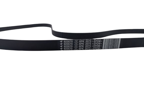 Maserati Compressor Driving Belt OEM 923570